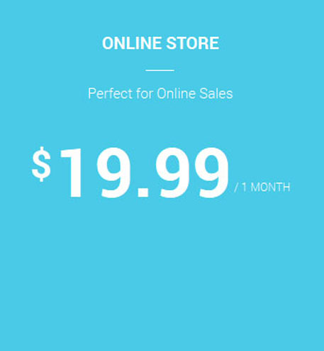 Online Store & Music Hosting