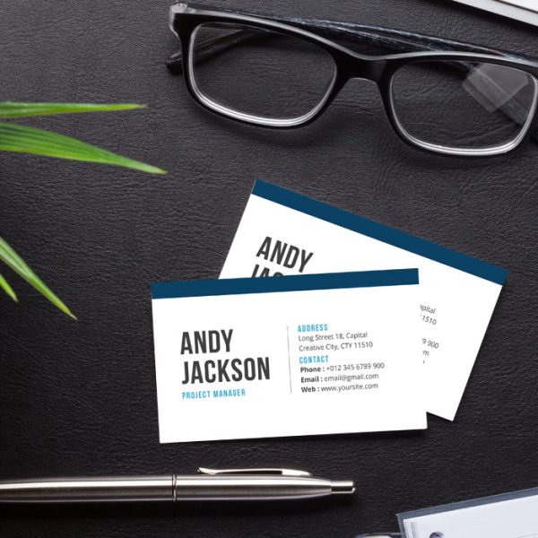 Project Manager