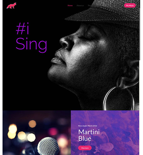 I Sing & More