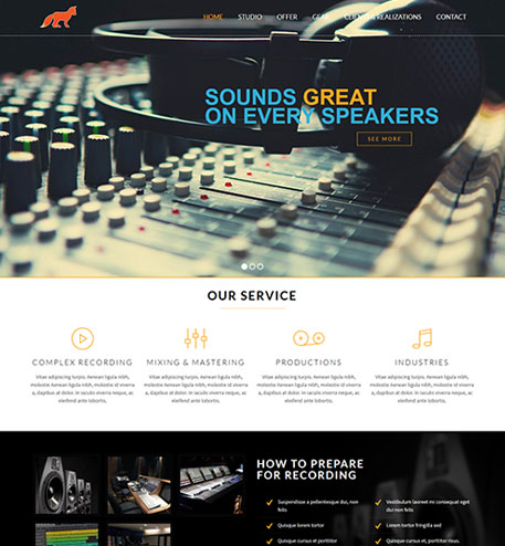 Music Producer